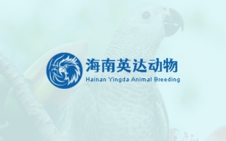 海南英達動物養殖有限公司